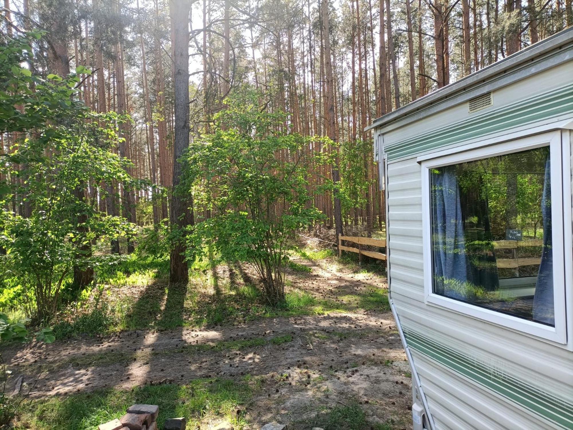 Отель Tinyhaus Idyllisch Am Waldesrand Котбус Экстерьер фото